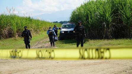 El cadáver de un hombre fue encontrado este jueves en las cañeras de San Manuel, Cortés, al norte de Honduras.