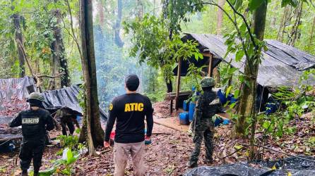 Fotografía muestra a militares hondureños y agentes de la Atic en una zona montañosa de Colón (Honduras), donde se encontró una plantación de hoja de coca.