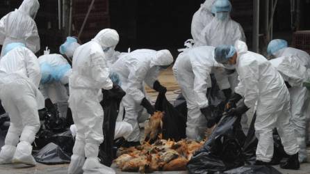 Este es el tercer caso de gripe aviar en un humano que China identifica en el país.