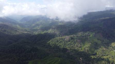 La nueva área que se está promoviendo, se encuentra en la montaña Nombre de Dios y es compartida por los municipios de Olanchito, Yoro y Jutiapa, Atlántida.