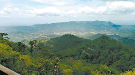 La montaña La Botija tiene una extensión de 191 kilómetros cuadrados, y es parte de la Biósfera de San Marcos de Colón.