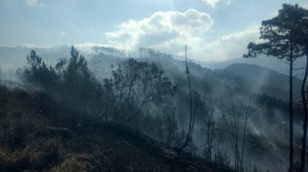 Fotografía del incendio en El Trigo.