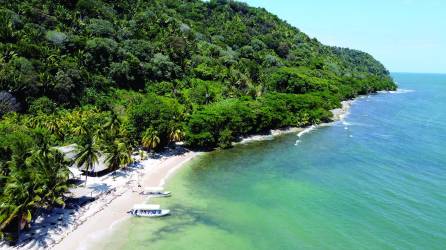 En el Parque Nacional Jeannette Kawas, los visitantes nacionales y extranjeros pueden recorrer senderos.