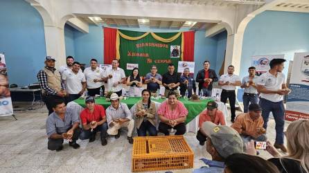 En Las Flores, Lempira, se hizo la entrega simbólica de las aves para que mujeres y hombres productores de café diversifiquen sus fincas.