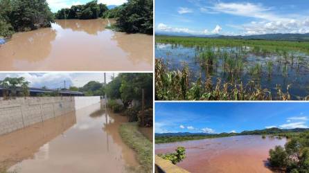 Las lluvias están provocando que el río Ulúa aumente su nivel y en municipios como Proterillos ya se están observando los efectos.