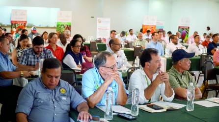 <b>Representantes de sectores productivos participan en la socialización de la Pesah. Foto. J. Cantarero</b>