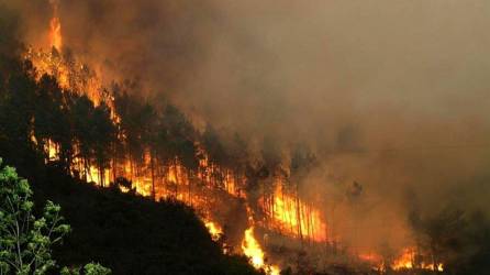 Este año, el mes que más incendios ha registrado es abril, con 437.