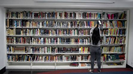 <b><span class=mln_uppercase_mln>Variedad.</span></b> La biblioteca cuenta con más de 10,000 libros en español e inglés.