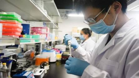 Científicos españoles y chinos crearon embriones a partir de celulas de humanos y monos en un laboratorio de Pekín./Foto referencial.