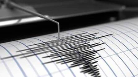 El temblor, registrado a las 01.41 hora local (07.41 GMT) y originado a 35 kilómetros por debajo del lecho marino, al suroeste del balneario costero de Masachapa.