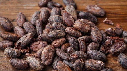 A los chocolates se sumaron otros productos a base de cacao, como el superalimento de Red Madre Cacao.