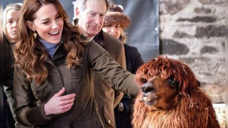 Kate Middleton visitó una granja en Irlanda del Norte para promocionar su proyecto '5Big Questions'.
