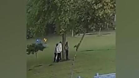 VIDEO: Rayo cae en un parque y mata a cuatro personas