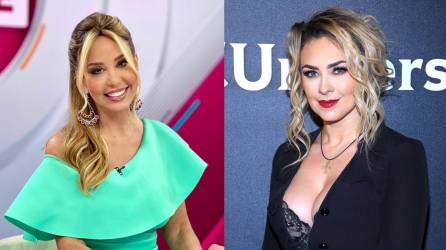 La actriz mexicana Aracely Arámbula arremetió recientemente en contra de su expareja y padre de sus dos hijos, Luis Miguel, al decir ante los medios de comunicación que el artista es un “padre ausente” y también un “deudor alimentario”. Estas declaraciones corrieron como pólvora y se hicieron virales en redes sociales, en donde la mayoría expresó su apoyo a la actriz también conocida como “La Chule”. Sin embargo, la periodista Myrka Dellanos, quien vivió un intenso romance con Luismi hace varios años, decidió dar su opinión al respecto.