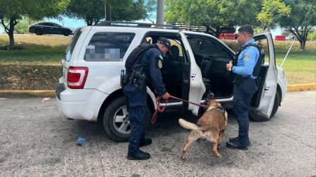 Cuerpos de Seguridad del Estado mantienen operativos fijos y de control en los ejes carreteros, con funciones de rastreo de cualquier sustancia ilícita.