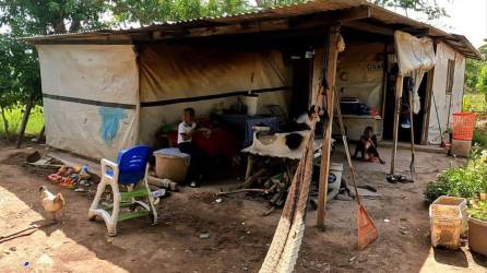 Familias en el valle de Sula enfrentan situaciones DE insalubridad y no cuenta con servicios tan básicos como la energía eléctrica o el agua.