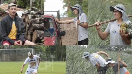 Francisco Martínez radica en la aldea Santa Elena de Santa Cruz de Yojoa.