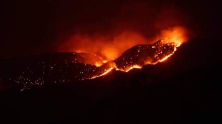 Incendio forestal en la zona fronteriza con Honduras, a unos 25 kilómetros al noroeste de la ciudad de Somoto (Nicaragua). EFE/Emir Alfaro