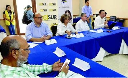 <b>Autoridades del Cohep durante la reunión con los productores de la zona sur. Fotos: Cortesía Cohep.</b>