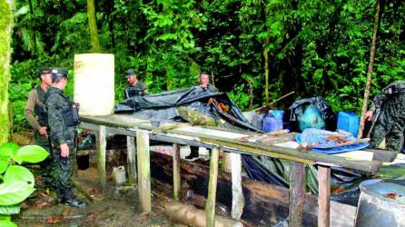 En el núcleo de la Biosfera del Río Plátano, las Fuerzas Armadas destruyeron un narcolaboratorio.