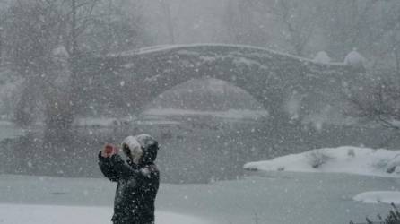 El Central Park de Nueva York amaneció cubierto de nieve tras el azote de una gran tormenta invernal./AFP.