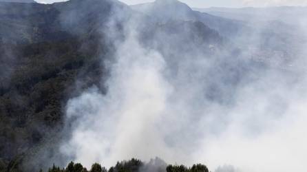Un total de 31 incendios forestales están activos este jueves en Colombia y afectan a nueve departamentos y Bogotá.