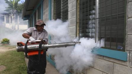 La segunda semana de enero arrancan las fumigaciones en los centros educativos de la región de Cortés.