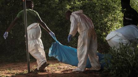 Otros diez cuerpos fueron encontrados en el bosque donde desaparecieron cientos de miembros de una secta en Kenia.