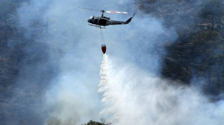 Los incendios forestales han afectado 25.526 hectáreas en Honduras este año