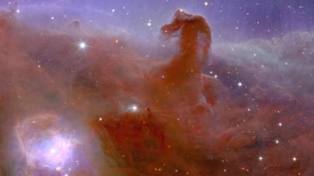 Las primeras imágenes del telescopio espacial europeo <b>Euclid</b> difundidas este martes muestran una nebulosa con forma de cabeza de caballo, galaxias distantes nunca antes vistas y “pruebas circunstanciales” de la esquiva materia oscura
