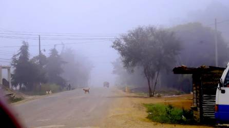 Una densa capa de niebla cubre la entrada de la ciudad de La Esperanza, Intibucá. Fotos: Melvin Cubas