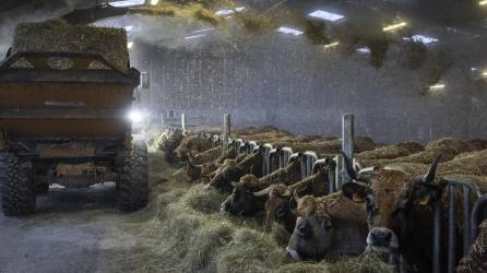 Méryl Cruz Mermy y Benoît Merlo crían ganado y cultivan en su granja orgánica en el este de Francia.