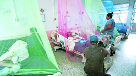 <b>Hospital Santa Teresa, en Comayagua, recibe a diario más de cinco pacientes con dengue.</b>