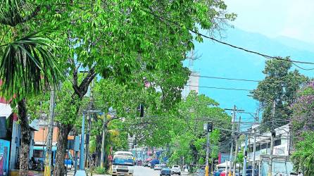 En San Pedro Sula se registraron 32 grados ayer.