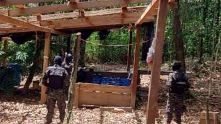 Las plantaciones fueron localizadas por miembros de la Policía Militar de Orden Público (PMOP) y la Fuerza Aérea de Honduras.