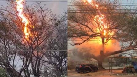 Video: Altas temperaturas provocan incendios en San Pedro Sula