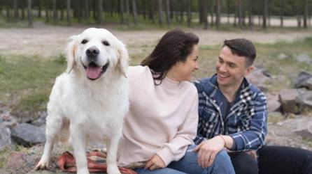 Si su perro está inquieto, primero, trate de averiguar qué podría estar causando su incomodidad.