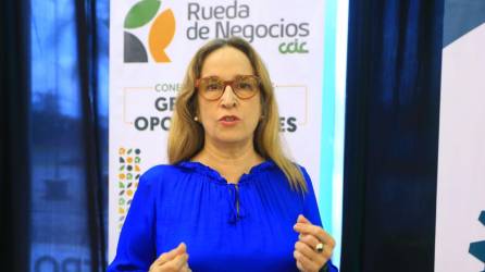 Jacqueline Foglia, exdirectora del CNI participó como conferencista en la rueda de negocios de la CCIC.