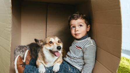 Enseñe a sus hijos a amar y respetar a los animales.