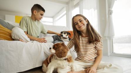 Por la salud de su familia, mantenga aseados a sus perros, sobre todo si pasan dentro de la casa.