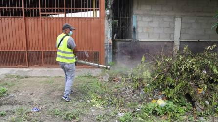 La campaña de fumigación se realizó en aquellas colonias vulnerables donde pueden existir criaderos del Aedes Aegypti.