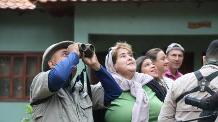 Un grupo de observadores de aves aprecian un buho pigmeo en Yamaranguila, Intibucá.