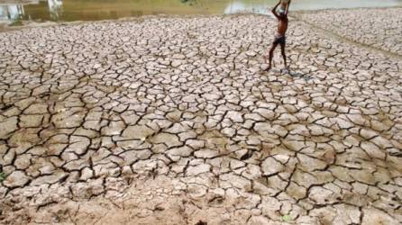 El aumento de las sequías en el mundo por el cambio climático pone en riesgo el futuro del precio del agua./