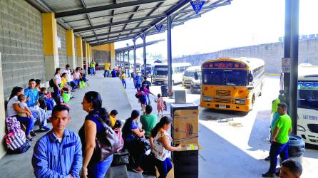 Los transportistas de Tegucigalpa, San Pedro Sula, La Ceiba y Choluteca reciben el bono compensatorio al transporte.