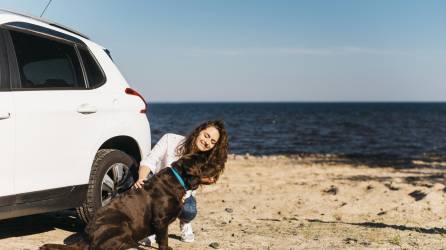 Siguiendo estos consejos puede disfrutar de viajes seguros y felices con su perro, asegurándose de que ambos estén cómodos y protegidos en el vehículo.