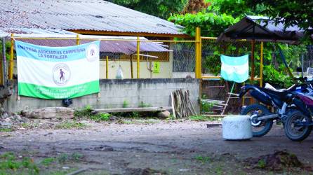 Las fincas invadidas están marcadas con la bandera de Honduras, mientras que adentro se observan hombres en motocicletas que andan cargando los camiones de fruta que cortan de la palma.