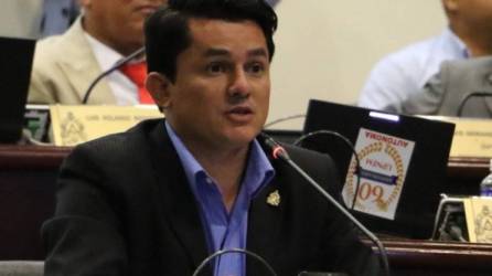 El diputado de Libre, Fabricio Sandoval, durante una sesión en el Congreso Nacional.