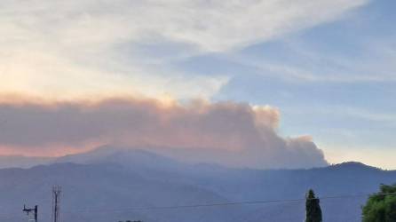 Un incendio se registra desde horas tempranas de ayer sábado en el Parque Nacional Cusuco, ubicado en la zona norte de Honduras.