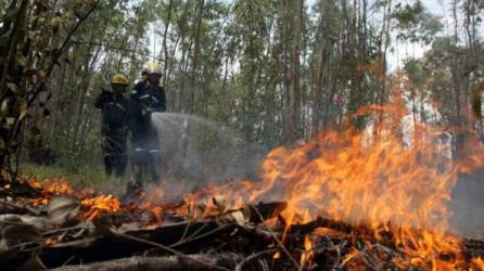 Más del 90 % de los incendios son causados por el hombre, según las autoridades hondureñas. Foto de archivo.