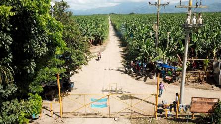 Tres semanas se van a cumplir desde que las fincas Guanacaste, La Paz y La Esperanza fueron invadidas en Isletas, Sonaguera, Colón.